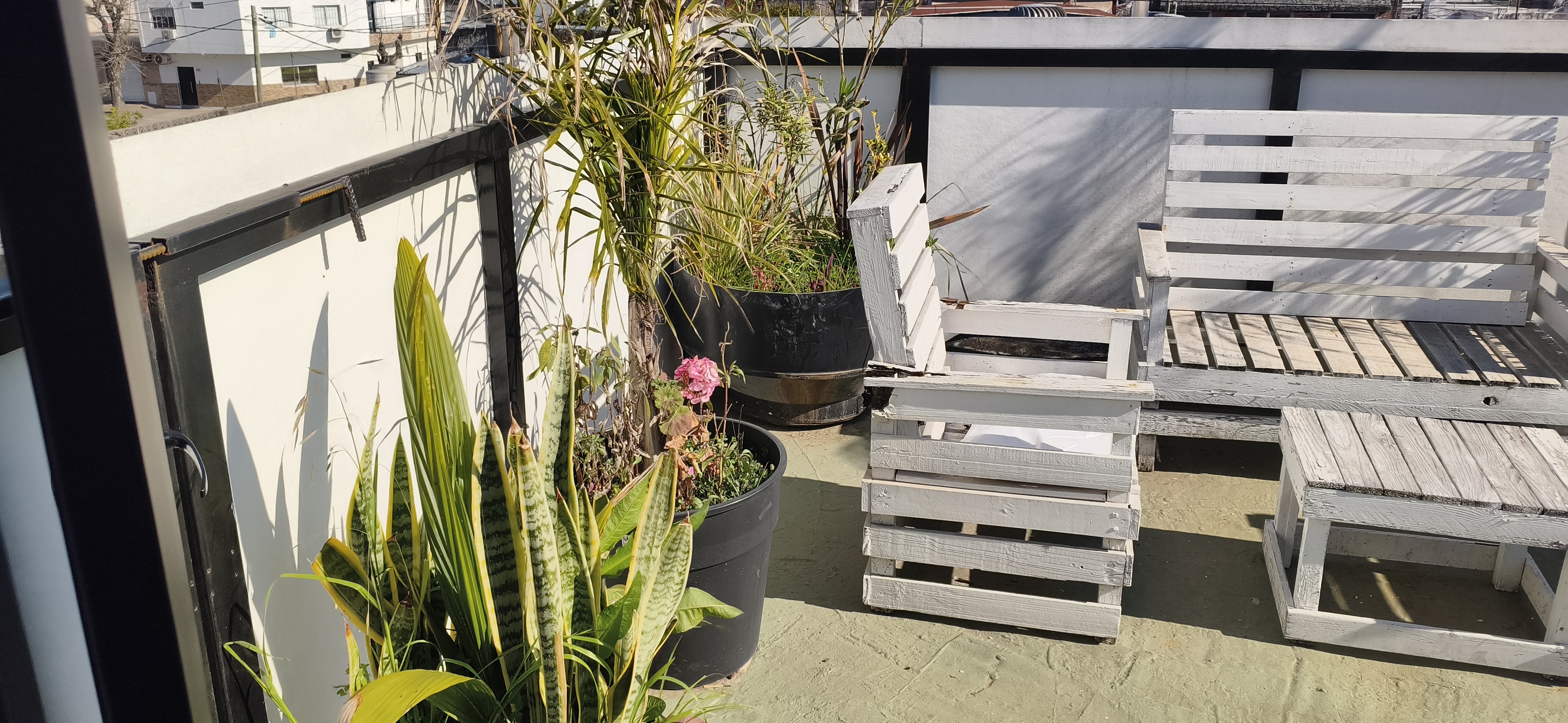 Terraza
